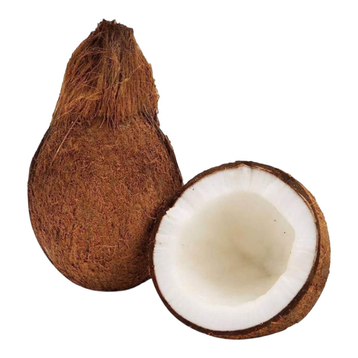 नारियल