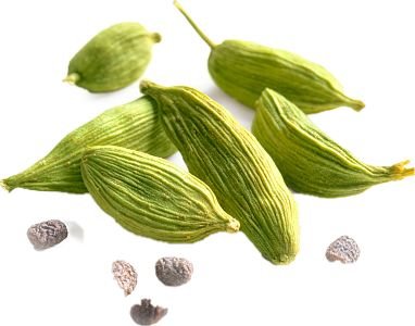 इलायची 